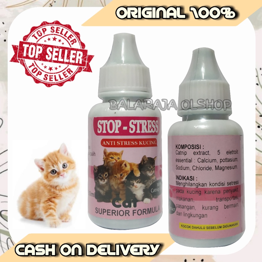 OBAT KUCING STRESS TAKUT GALAK MABUK PERJALANAN - STOP STRESS