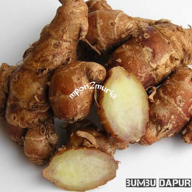 

KENCUR SUPER BUMBU HERBAL ALAMI