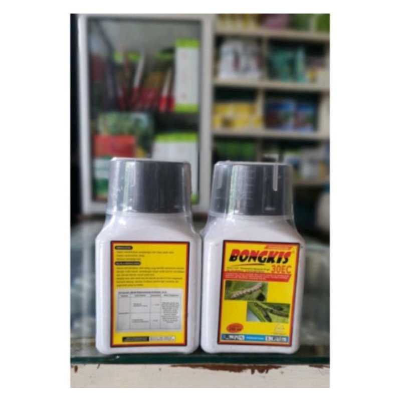 BONGKIS 30EC
