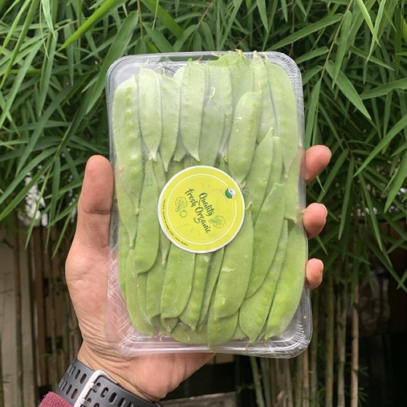 

Kacang kapri organik