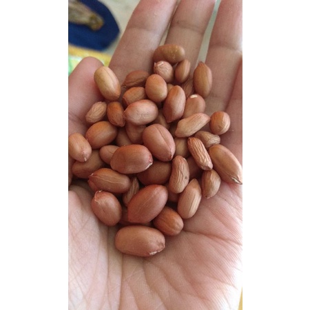 

kacang tanah kupas