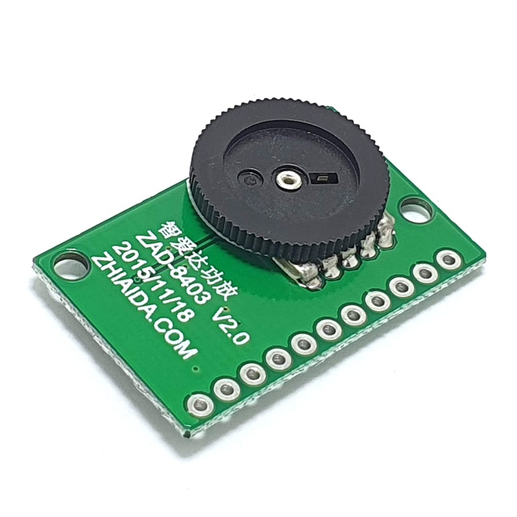 Modul Amplifier Dual Channel Class D