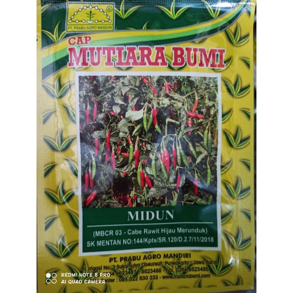 BENIH CABE RAWIT HIJAU MIDUN 10 GR CAP MUTIARA BUMI