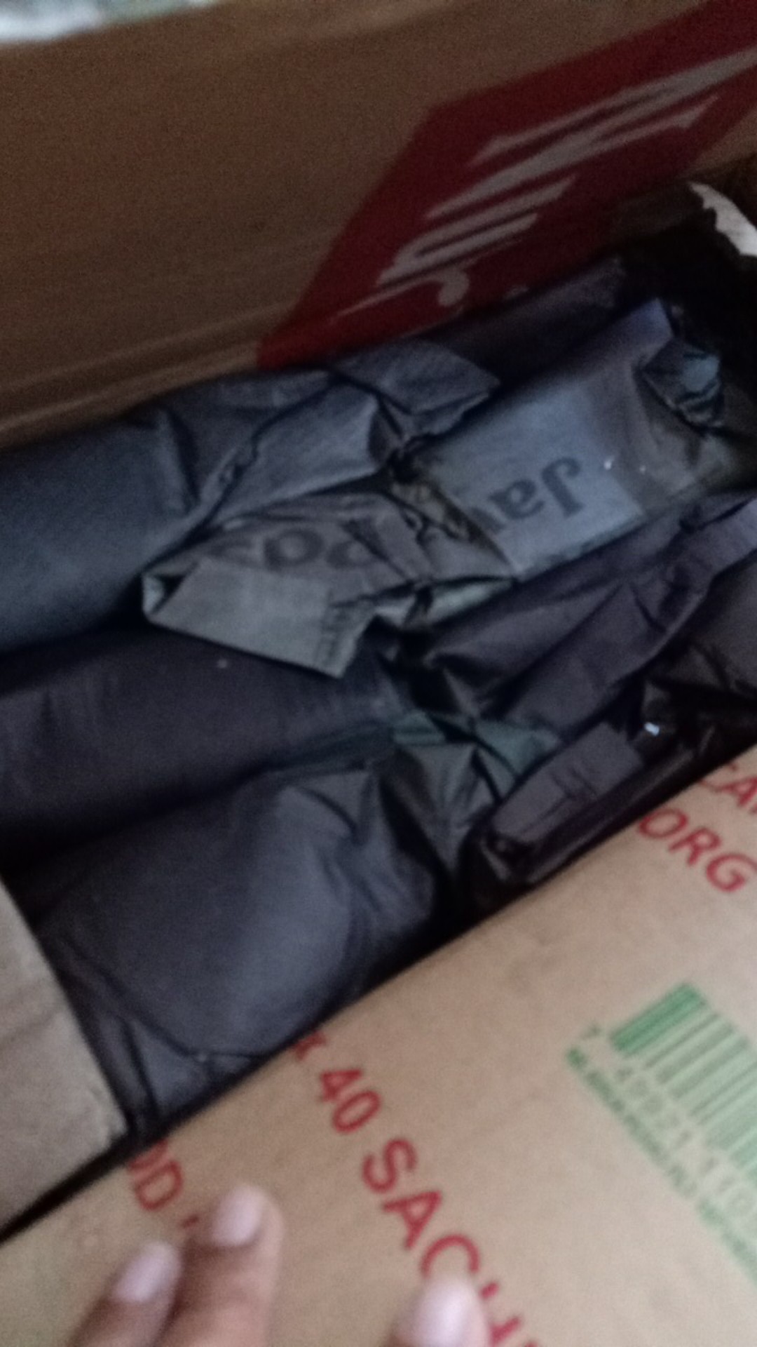 Anggrek Dewasa Bulan Chian Xian Dian Hybrid