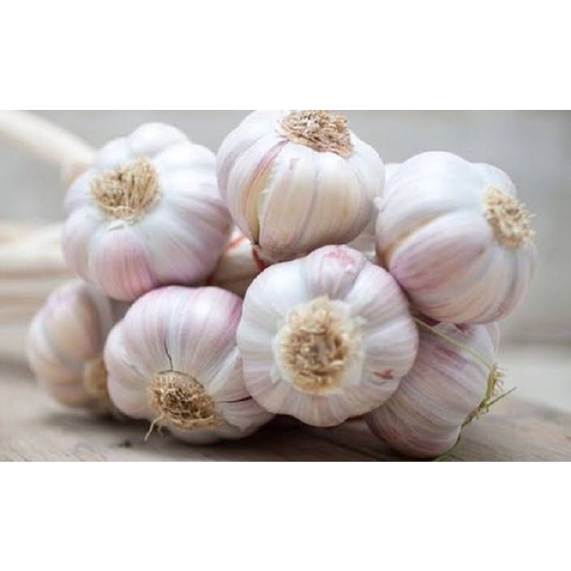 

Discount Bawang Putih (Sayuran Segar)