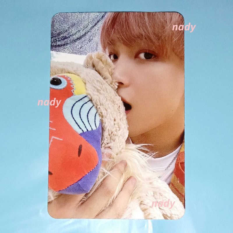 PC Haechan Boneka NCT 127 Sticker Full Comeback Album Photocard