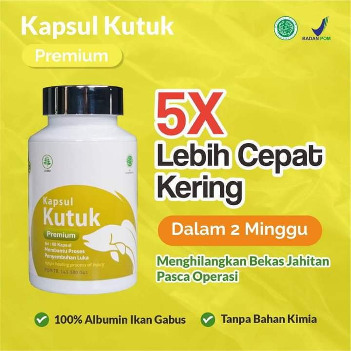 KapsulKutukPremium