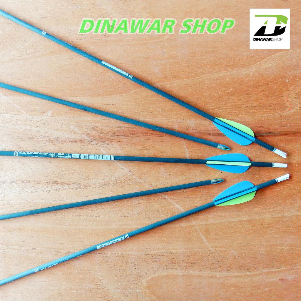 Arrow Carbon Outdoor Elong IAN 1 Spine 800