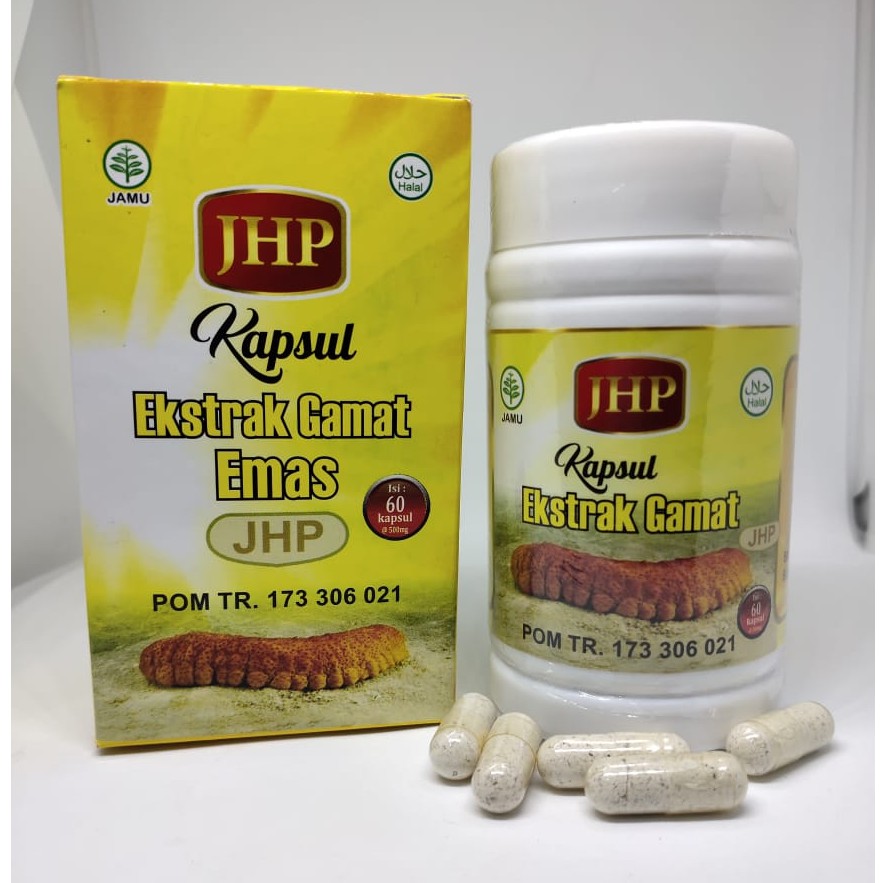 Kapsul Ekstrak Gamat Emas JHP