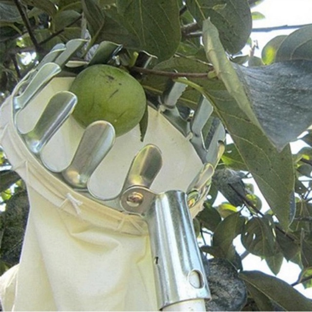 Alat Pemetik Buah Metal Fruit Picker Alat Bantu Petik Buah Uk 14CM