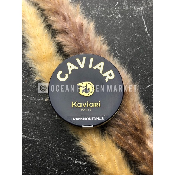 

Premium Kaviari Caviar Beari Royal, Transmontanus, Oscietre Prestige, Kristal Telur Ikan Strugeon