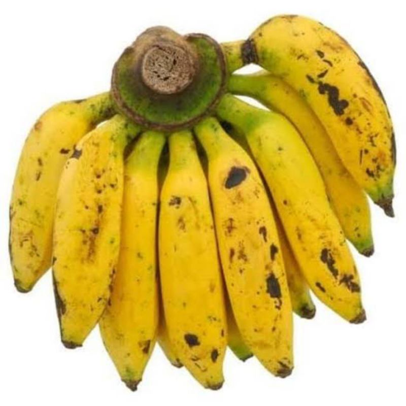 

pisang uli segar / sisir dijual di warunk juni