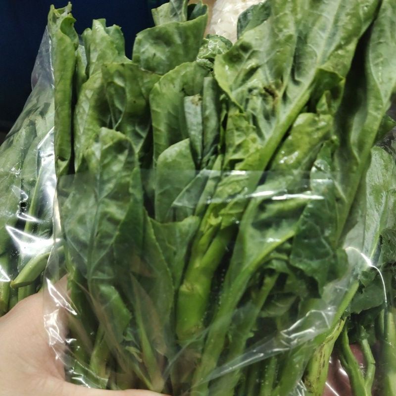 Sayur Kailan 500gram