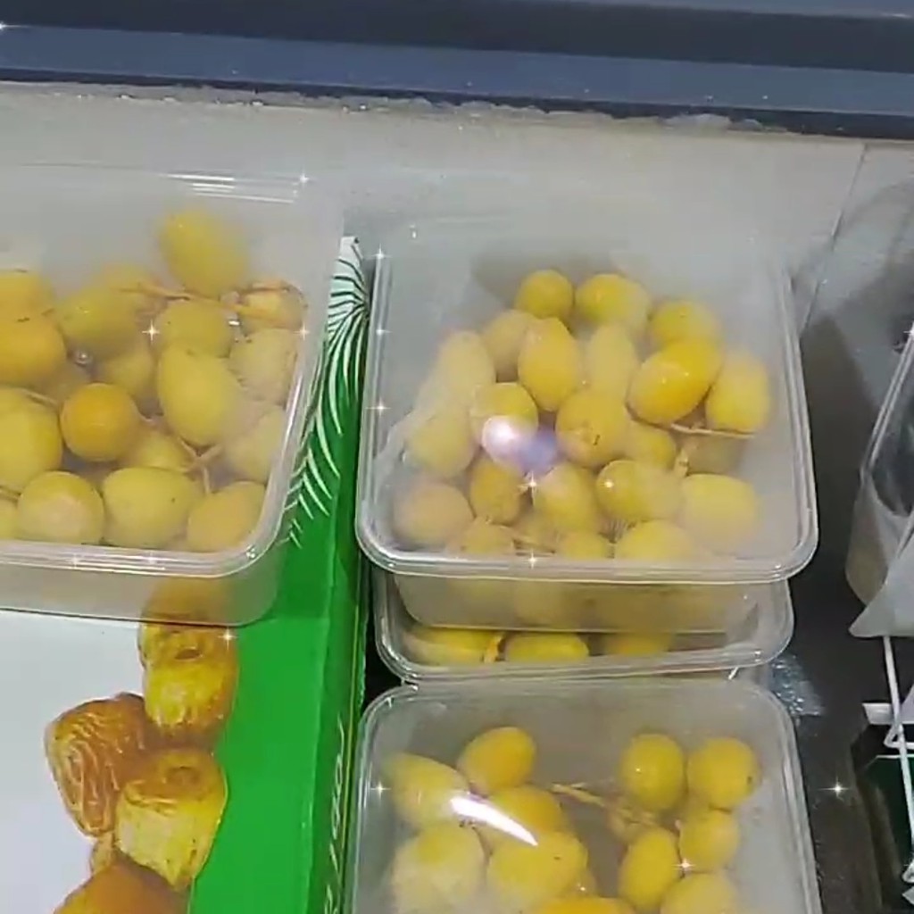 

Kurma Muda