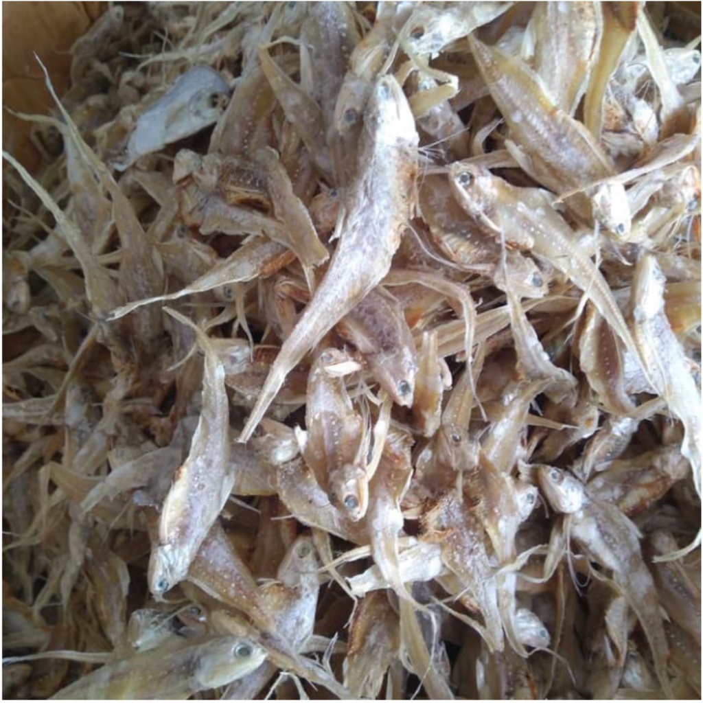 

Ikan Asin Bulu Ayam 100 gr per pack Ikan Asin Untuk Urap