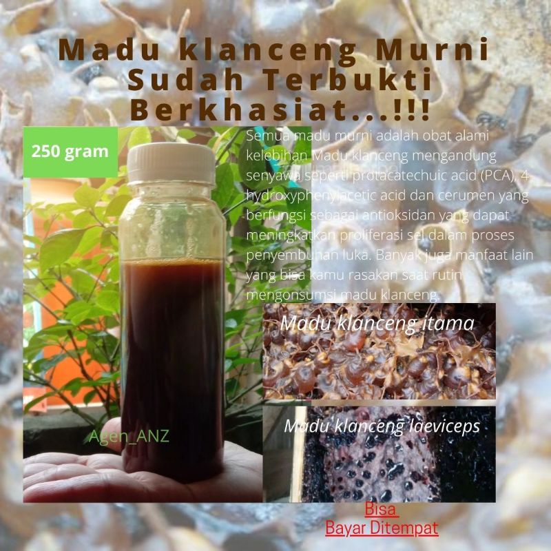 madu murni klanceng madu klanceng murni 250gram untuk asam urat darah tinggi lambung kolesterol gula darah