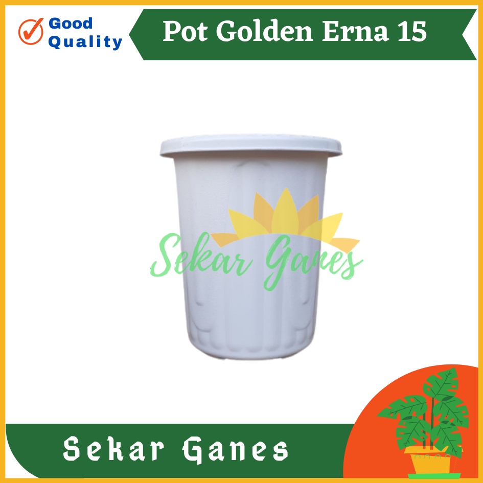 Sekarganes Pot GE15 Golden Erna 15 Putih Bening Transparan Hitam Merah Bata Coklat Terracotta Garden Of Love Mirip Pot Yogap Ypt 10 13 15 Putih Merah Bata Transparan Pot Yogap 17 18 19 Pot Yogap Murah Pot Bunga Tinggi Pirus Tegak Bagus Tebal