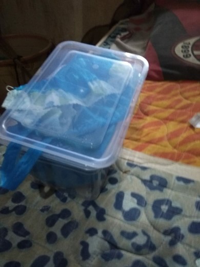 1kgtelur Jangkrik Alam