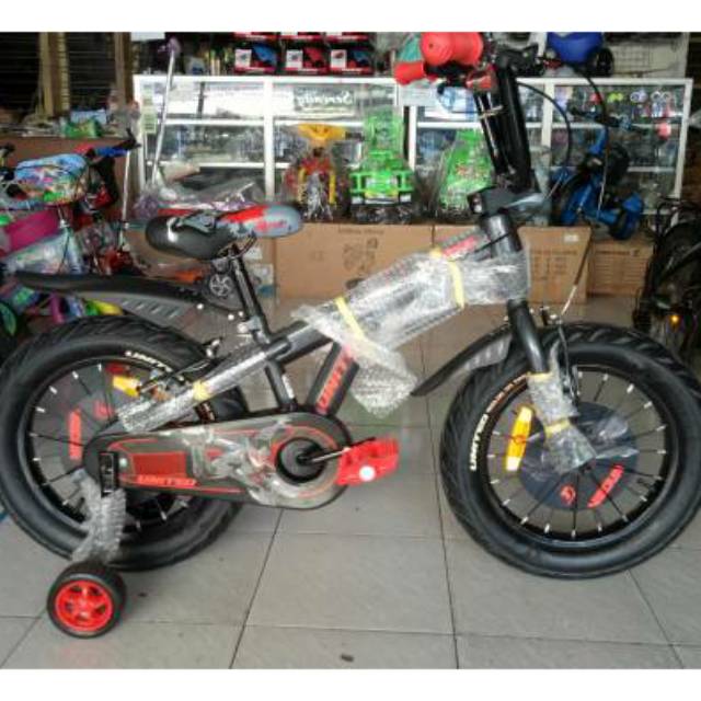 16" BMX United Vigour