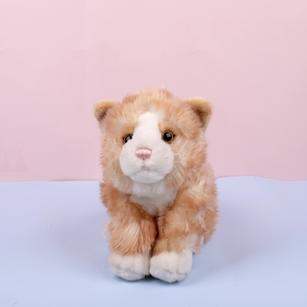  BONEKA KUCING ABU ABU  TUA CAT DOLL Ukuran S Cocok 