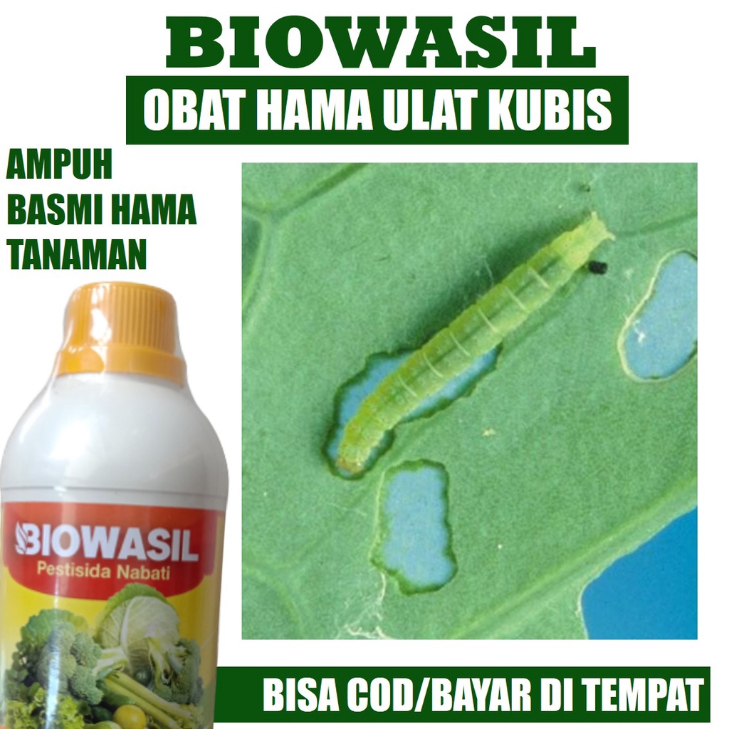 BIOWASIL 500ml Pupuk Pembasmi Ulat Kubis Pada Semua Tanaman - Obat Hama Ulat Kubis Pada Padi Paling 