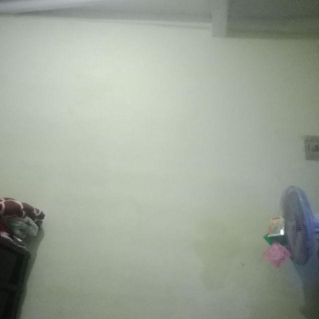 B3 Hak 1 Cm Kotak Merek Eramas