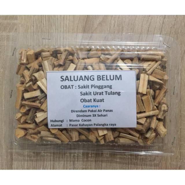 

OBAT SEHAT PRIA AKAR SALUANG BELUM OBAT SAKIT URAT TULANG, SAKIT PINGGANG