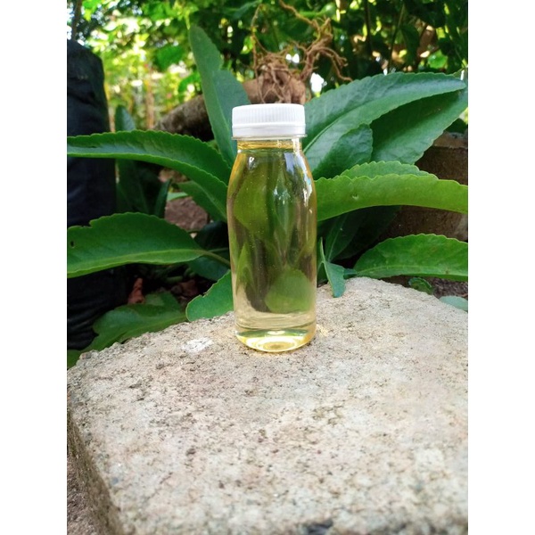 minyak kelapa murni minyak kletik minyak kelapa hijau