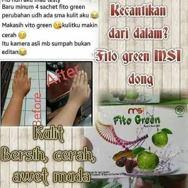 

Paket Hemat Fito green MSI minuman Nutrisi kulit tubuh (24sct)