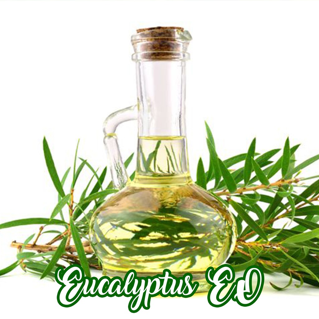 Eucalyptus Pure Essential Oil 1 L