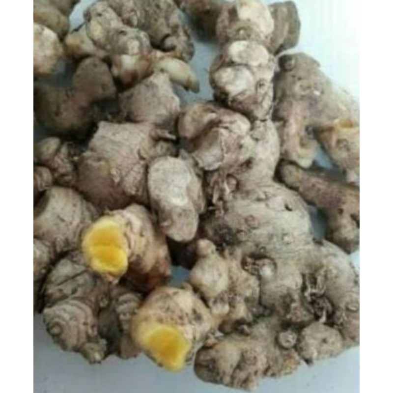 

panglai, banglai, bangle segar 250gr