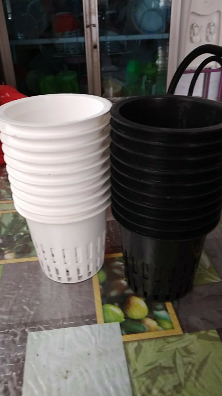Netpot Hidroponik Merah 10cm / Net Pot Hidroponik Hitam 10cm / Netpot 10cm / Netpot Murah / Netpot