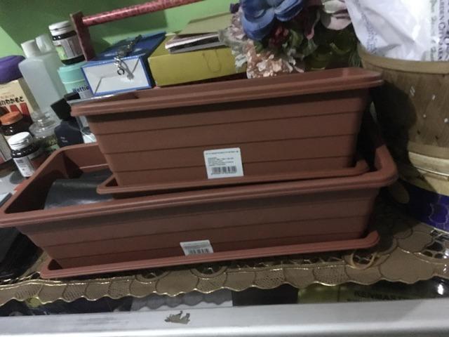 Pot Bunga Panjang Lion Star Trivetto +tray(m) Panjang 41cm - Hijau Tua