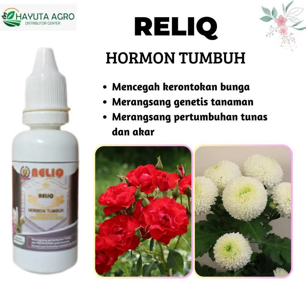 Pupuk Bunga Krisan, Hormon Serum Bunga Krisan Reliq, Serum Hormon Krisan Bunga Organik