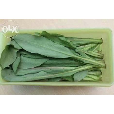 

Fumak 1/2 - Siomak 1/2 Fresh Segar
