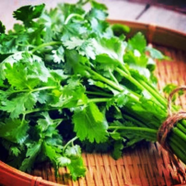 

Daun Ketumbar (250 gram)