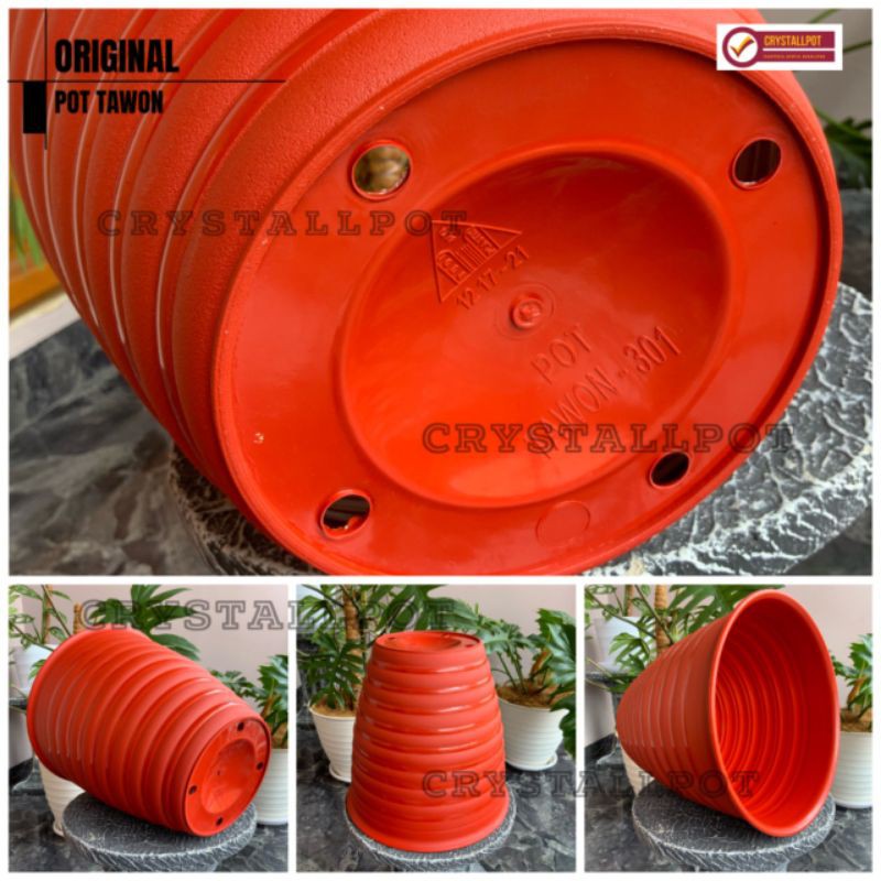 Pot bunga tanaman tawon MERAH BATA tinggi (PIRUS) 30cm - ORIGINAL