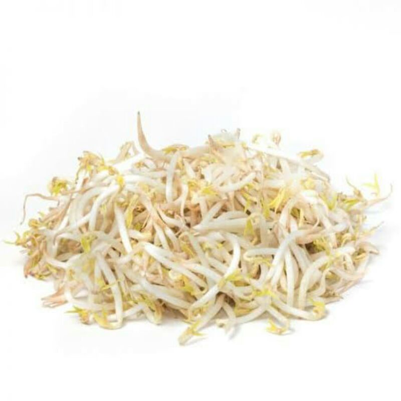 

toge tauge 250gr