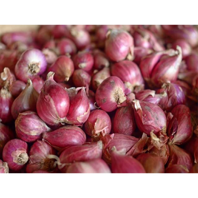 Bawang Merah Brebes Super/Besar