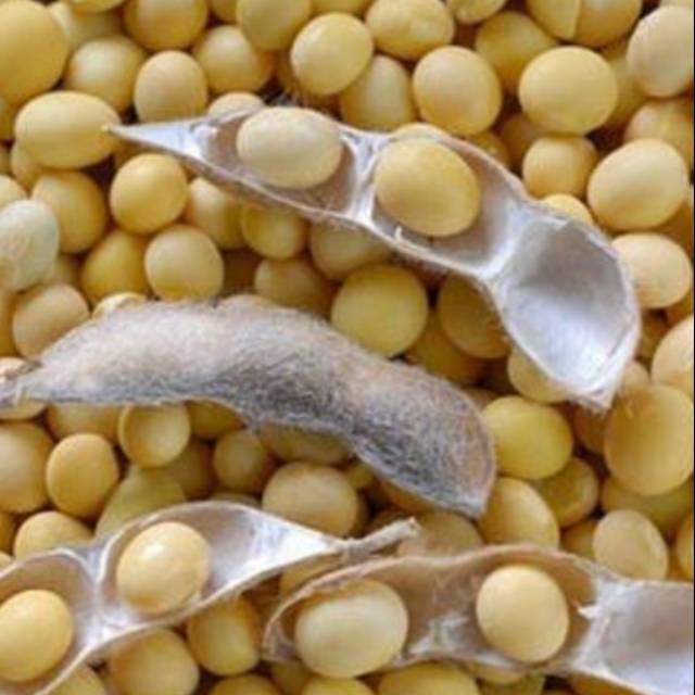 

Kacang kedelai 250g