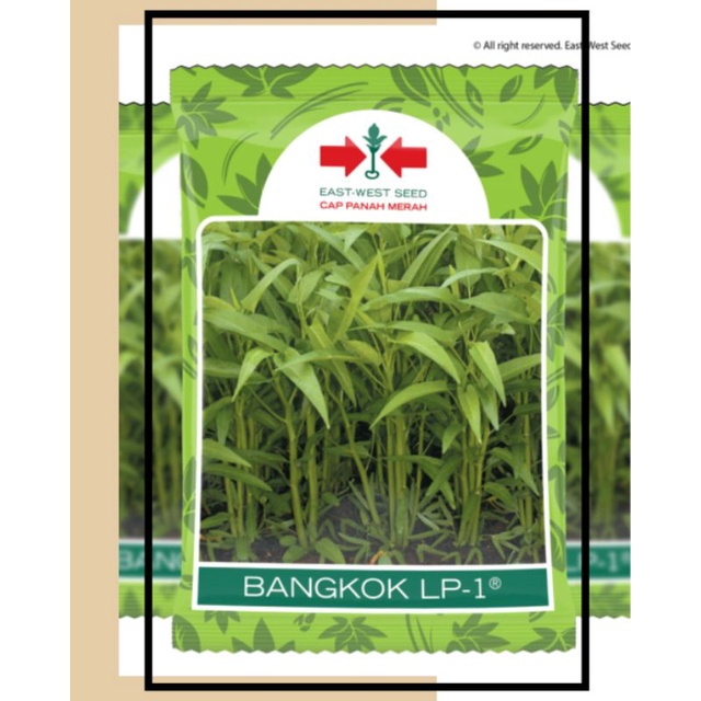 Benih / Bibit Kangkung Bangkok LP1 Pouch (Panah Merah)