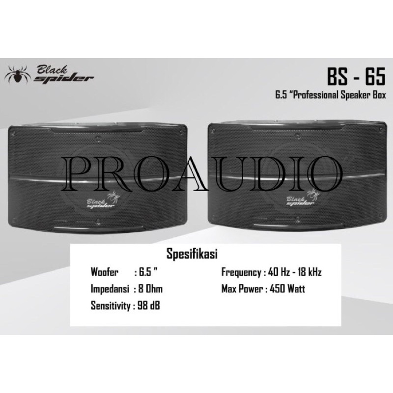 Speaker Pasif Black Spider BS-65 6,5 Inch