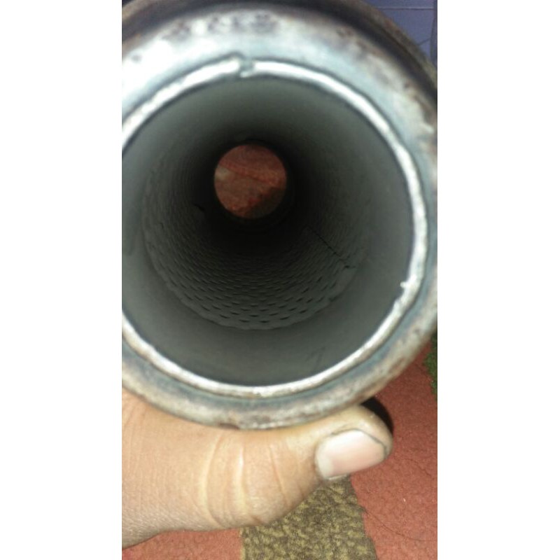 SlincherROB1gp17galvanish