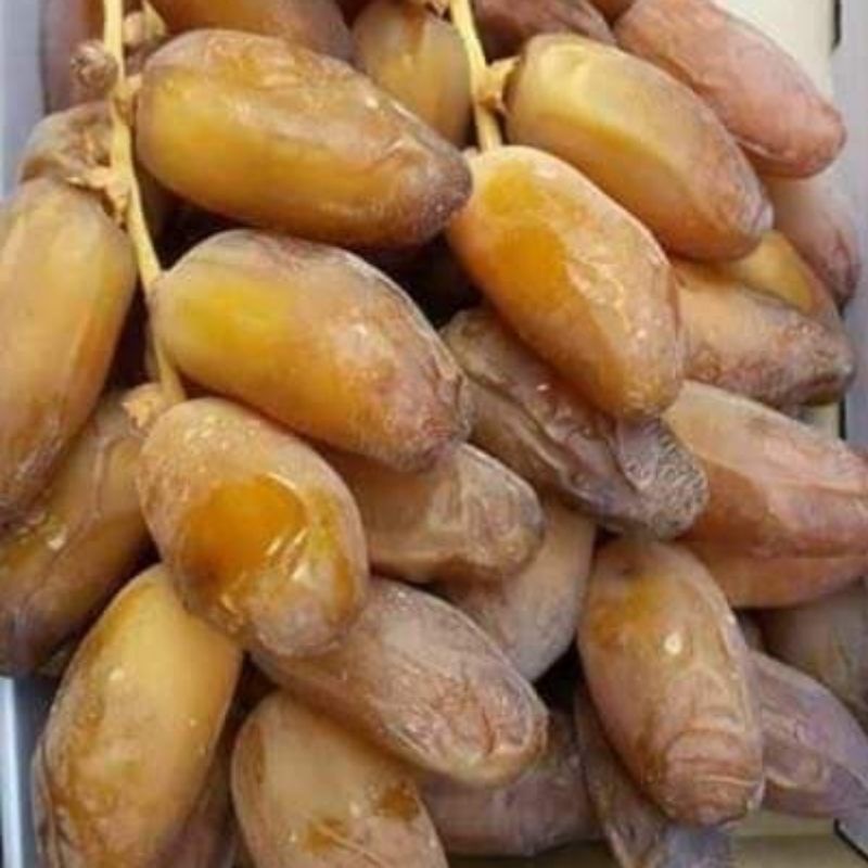 

kurma tangkai 500gram kurma Tunisia tangkai terlaris kurma Tunisia palm fruit 500gram