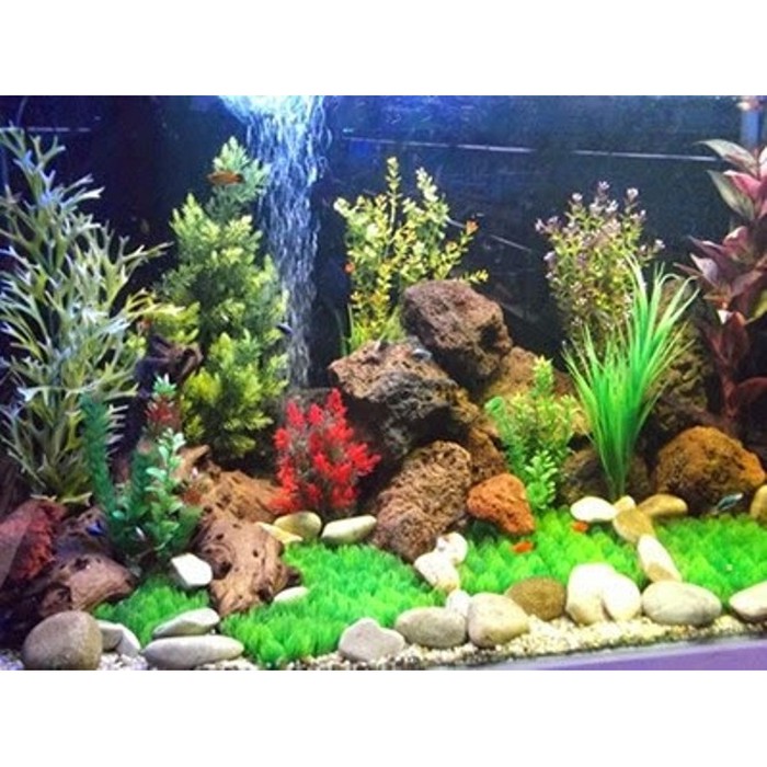 910+ Dekorasi Aquarium Tanaman Plastik HD