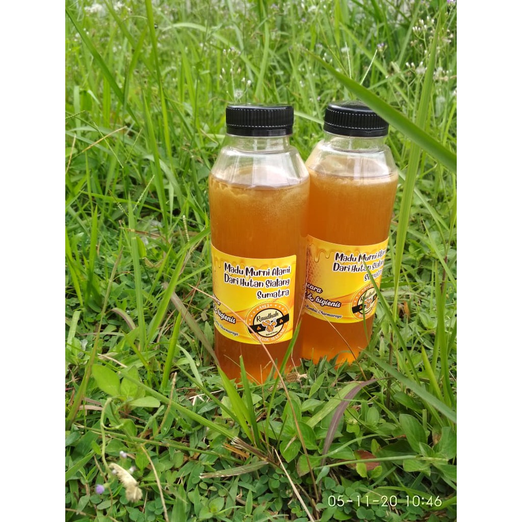 

Madu sialang