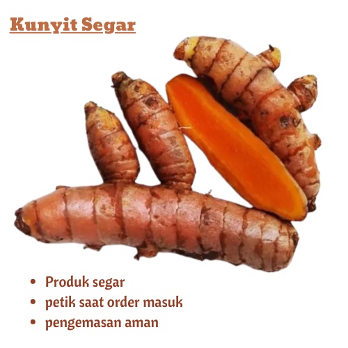 

Promo Herbal Kunyit Kunir Kuning 1KG Murah Pilihan