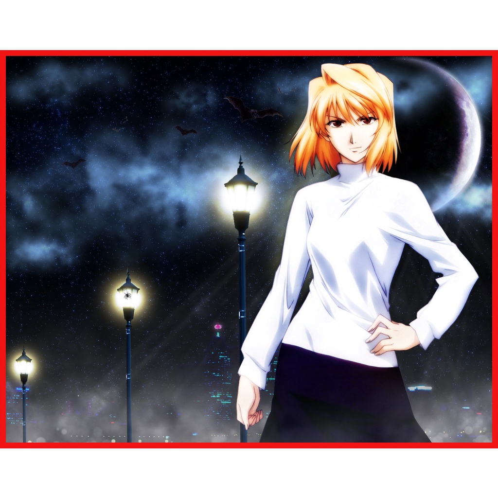 DVD Shingetsutan Tsukihime - Shingetsutan Tsukihime