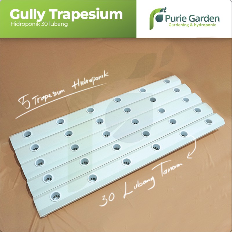 Hidroponik Set Gully Trapesium 30 Lubang PG SBY