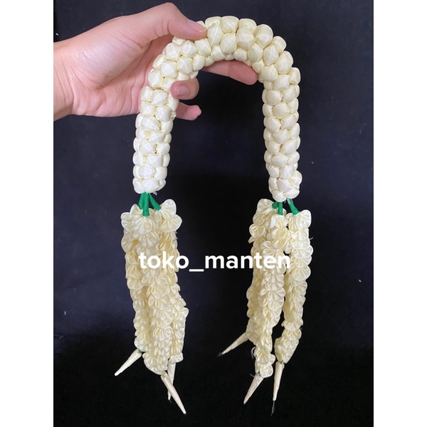 MELATI SUNTING / MELATI PENGANTIN PADANG / MELATI SUNTING MINANG